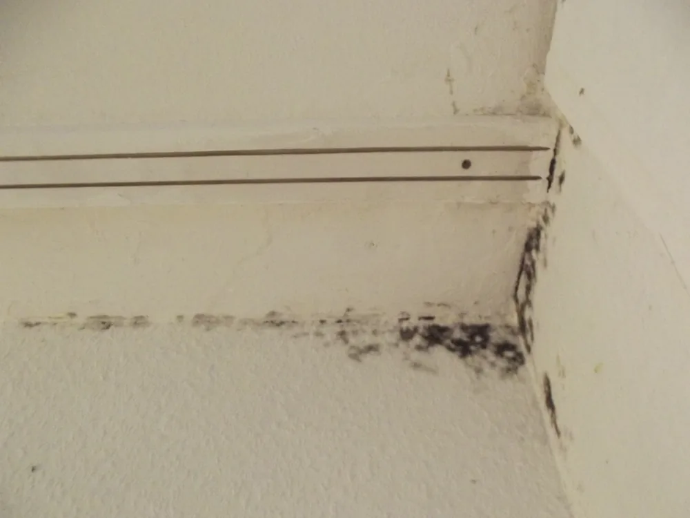 Technician in protective gear removing a mold-damaged wall in a Smithville home